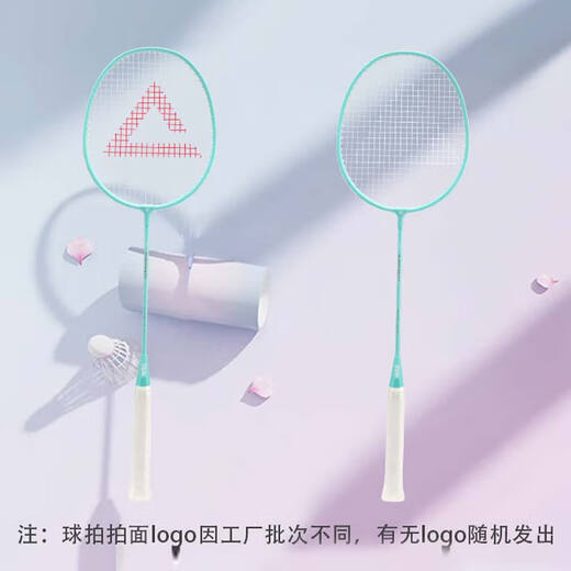 匹克羽毛球拍双拍初学合金复合进攻耐用学生对拍入门训练耐打羽拍 天蓝+羽白 羽毛球拍套装