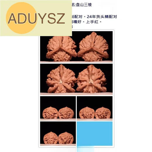 ADUYSZ胖东来品质精品老树正奔文玩核桃盘山文山一物一拍520情人节生日 41精配对矮桩老树盘山16835