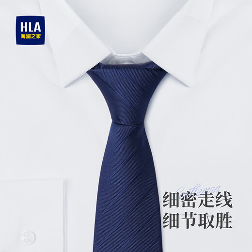 Heilan House Men's Tie Tie Clip Set Birthday Gift for Boyfriend Hand Tie Suit Accessories