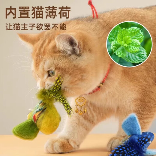 Guazhou Mu Cat Toy Cat Stick Simulation Bird Toy Kitten Self-Happiness and Boredom Relief Artifact Resistant to Scratching and Bite Pet Supplies Green Love Bird Free Catnip + Suspension Rope
