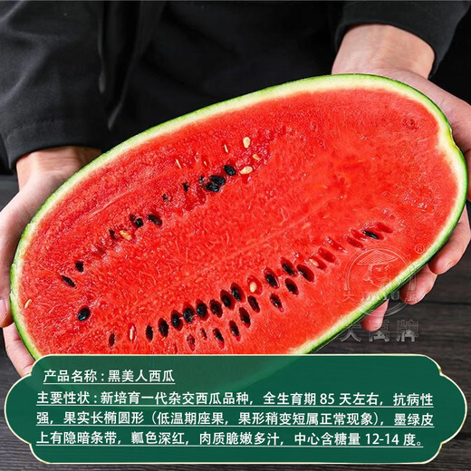 Dayu Lazy Man Watermelon Seed Seedlings Extra Large Suitable for Early Maturing Lazy Man in the South 8424 Kirin Melon Meidu Seedless Fruits and Vegetables Big Fruit Black Beauty Watermelon Seeds 20 capsules 4-6kg