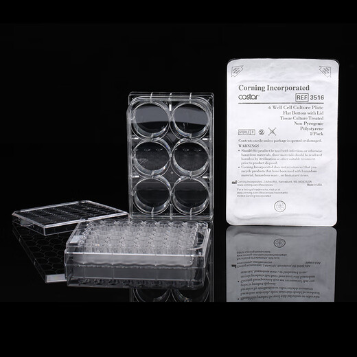 Corning Laboratory Zellkulturplatte 6-Well 12-Well 24-Well 48-Well 96-Well Selektionskulturplatte einzeln verpackt Corning 24-Well 3524 Vollkarton 100 Stück/Karton