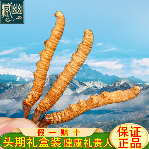 藏幽正宗冬虫夏草礼盒装滋补品头期干虫草送长辈父母领导营养品礼物 【严选品质】3根/克-10克-30根【送礼推荐】