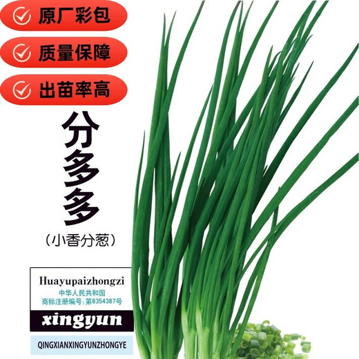 Four-season chive seeds, green onion seeds, balcony indoor potted onion seeds, cold-resistant vegetable seeds, home vegetable seeds, four-season chive seeds, about 200 pieces, brand original color pack