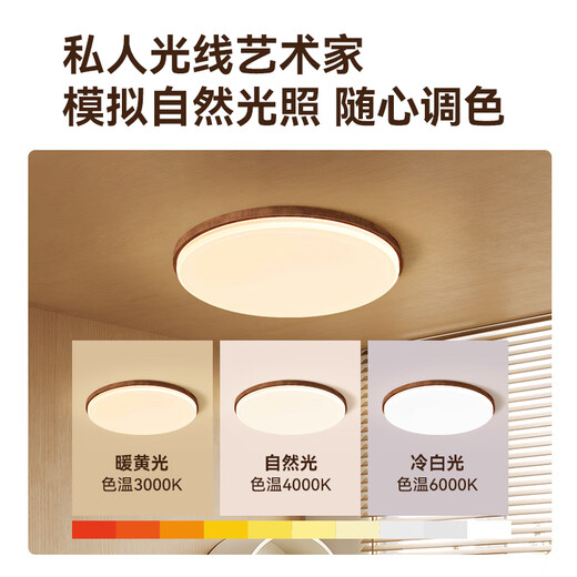 ARROW Original Puri light source log style ceiling lamp walnut color eye protection antique style living room lamp package installation