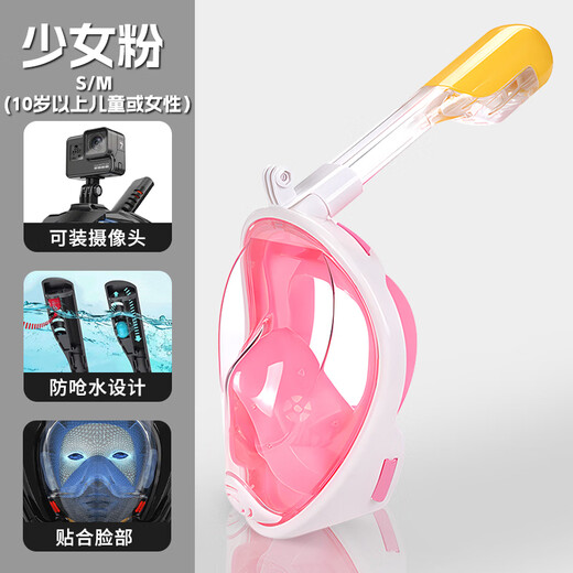 Zhizhou Diving Mask Adults and Children Full Face Snorkeling Glasses Swimming Equipment Underwater Full Dry Respirator Mirrors Waterproof Upgraded Anti-Choking Water Mint Green L/XL (Male) Free