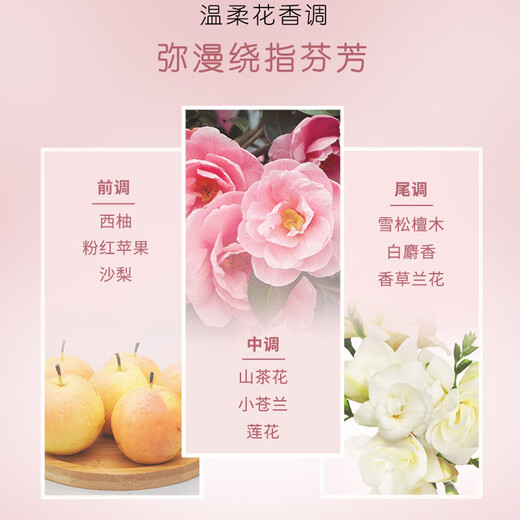 Silk Yun Elastin for Women with Watery and Rich Natural Curly Hair Glossy Sparkling Floral Fragrance Easy to Clean Commuting Water-based Formula Silk Yun Watery and Rich Elastin 150ml 2 Bottles