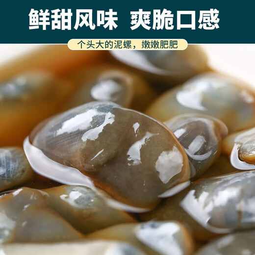 Mud snail ready-to-eat canned yellow mud snail fresh extra large drunk mud snail raw pickled Zhoushan specialty Ningbo seafood conch without sand small size raw pickled drunk mud snail 210g/can 1 can