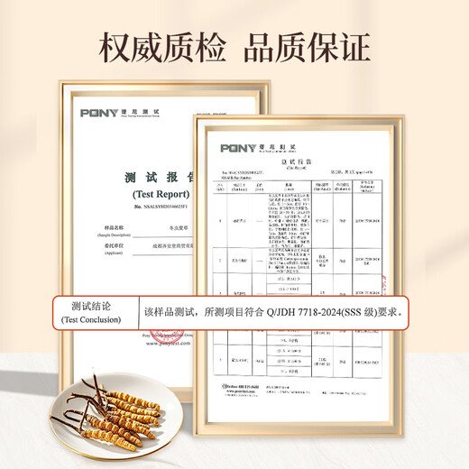 Tongfu Cordyceps sinensis 5G authentische hohe Höhe große Cordyceps sinensis nahrhafte Ernährungsergänzungsmittel kostengünstig