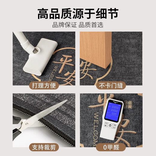 Xinglianxin entrance door mat 2025 new door carpet stain-resistant no-wash household foot mat entrance door mat 80X120cm