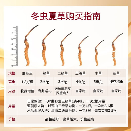 观采归【西藏那曲】野生冬虫夏草补品送长辈老年人营养礼盒虫草礼品实用 一级草[约2根/克] 5克10根养生装