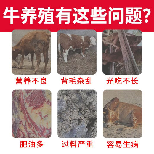 British and American cattle feed, special feed premix for beef cattle, fattening, growth promotion, fast fattening, weight gain and fattening additive, cow breeding premix 20KG to improve reproduction