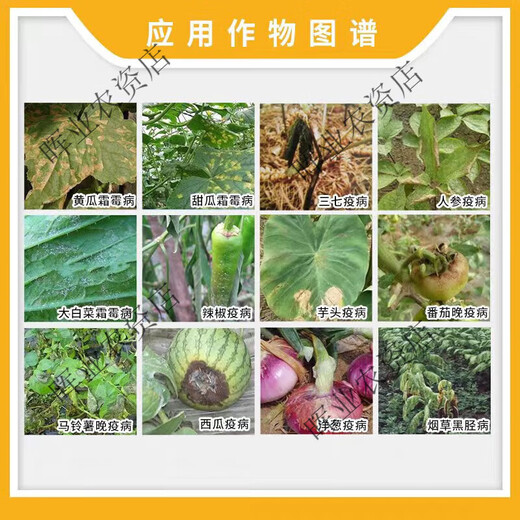 Bayer Silver Farley German Bayer Fluorobacterium downy mildew tomato downy mildew cucumber disease Silver Farley pesticide fungicide 100ml