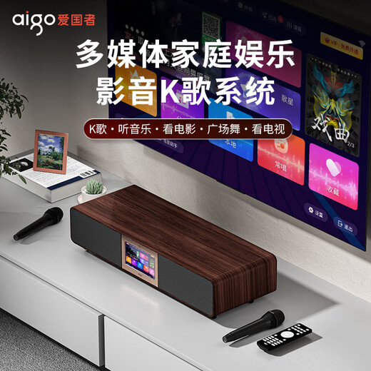 Patriot T19 Bluetooth audio echo wall TV speaker wireless home KTV theater karaoke audio set all-in-one machine with microphone dual microphone version