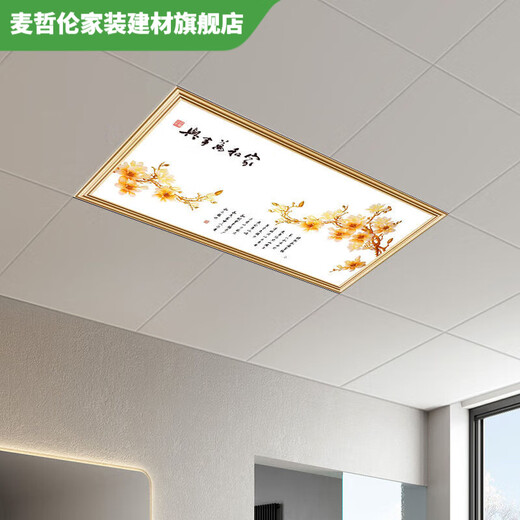 Vinoa integrated ceiling light led flat panel light 300x600 kitchen and bathroom light aluminum gusset plate embedded LED30x60 flat panel light minimalist white 300*600 (28W white light)