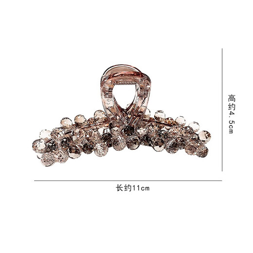 Liangshihuan Internet celebrity fashion clip for women 2025 new high-end light luxury back head hair clip high-end spring and summer headwear crystal clip (11 cm) regular hair volume