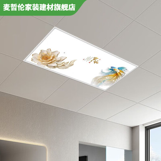 Vinoa integrated ceiling light led flat panel light 300x600 kitchen and bathroom light aluminum gusset plate embedded LED30x60 flat panel light minimalist white 300*600 (28W white light)