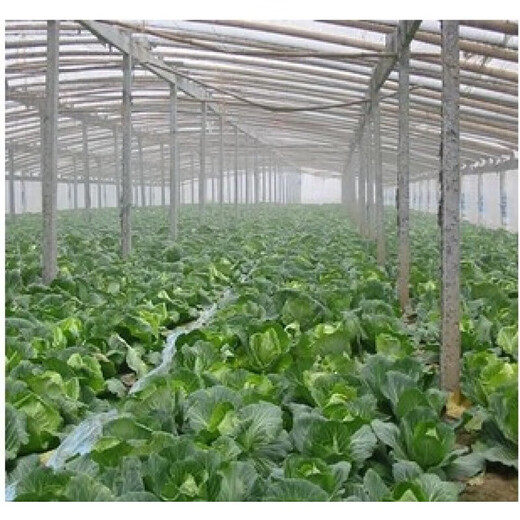 Yixiang white plastic film transparent thickened greenhouse film breeding film plastic cloth plastic paper agricultural film whole roll drip-free film thick 8 wires wide 8 meters * 120 meters long