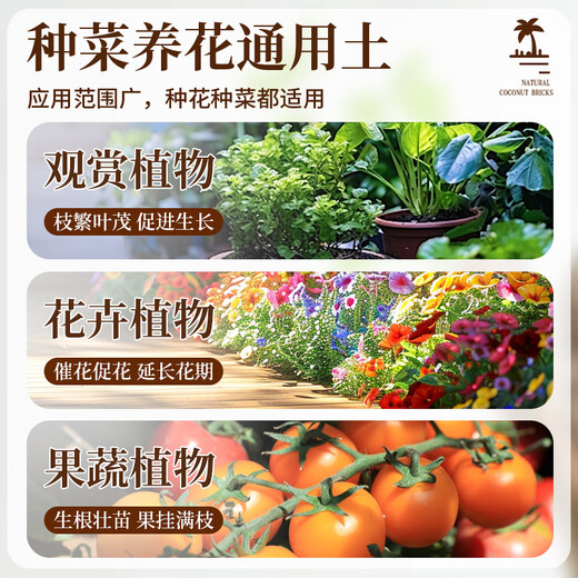 根力豆通用型椰糠砖椰壳砖椰砖营养土通用型养土养花土壤种植土脱盐批发 脱盐椰糠砖【675G一块】