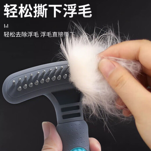 Special depilation for long-haired pet dogs, large dog comb, double-row nail rake brushing comb, dog golden retriever Alaskan needle comb, blue double-row nail palladium comb + thinning comb