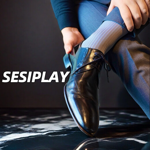 SESIPLAY Gentleman Series Sky Mirror Men's Gentleman Stockings Sky Mirror 2 Pairs One Size (39-46)