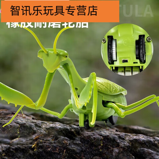 
Shantoulin Village remote control mantis electric toy prank artifact cockroach boy moves spider crawling animals Remote control mantis [classic version - remote control ladybug] red model 9922