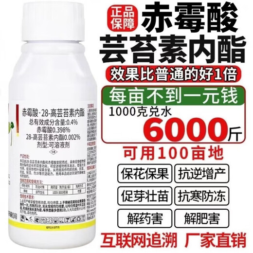 Phytochorosine gibberellic acid 28 high brassinolide plant growth regulator flower and fruit rooting fruit tree flower pesticide 100g