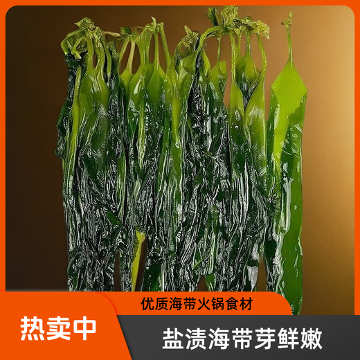 Salted kelp sprouts, salad, hot pot soup, popular ingredients, dry goods, asparagus, kelp head, wakame, salted kelp sprouts, regular style 500g*1 bag
