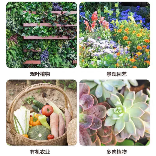 Smart Green Compound Fertilizer Universal Nitrogen, Phosphorus and Potassium Fertilizer for Flowers, Vegetables and Fruit Trees Agricultural Fertilizer Granular Fertilizer Medium Element Water-soluble Fertilizer Universal Granular Fertilizer 400g*2 Bags Limited Time Benefits