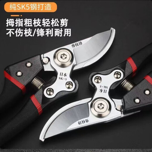 FANCYCHIC German craftsmanship imported steel branch shears tree shears fruit tree shears pruning scissors household flowers and grapes pruning branches German imported steel blades (national rapid) original German (thick branch shears) super fast + strength