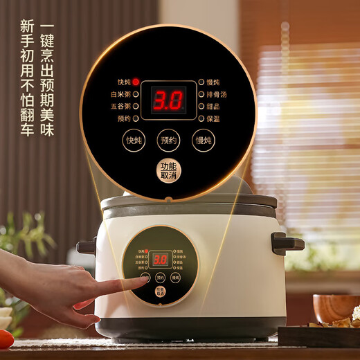 Electric stew pot steamer electric cooking pot stew pot casserole stew and steam all-in-one food supplement pot stew soup cup electric stew pot electric casserole soup pot stew water-proof porridge multi-function 5L purple sand scheduled appointment 4-6 people