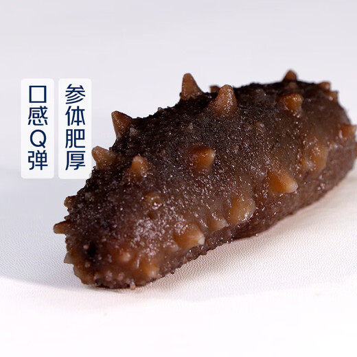 Xinglonggang ready-to-eat sea cucumber (pack of 5-8 pieces) 500g