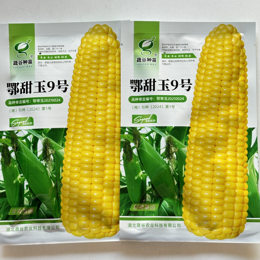 National Approval Corn Seed Sweet Waxy Corn Seed Hybrid Corn White Corn National Approval Corn Seed E Tianyu No. 9 Fruit Corn Seed Original 15g
