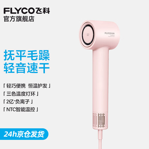 FLYCO Hair Dryer Home Hair Dryer Dormitory High-speed Negative Ion High Wind Quick-drying Portable Hair Dryer Holiday Gift for Boy and Girl FH6370 Sakura Powder