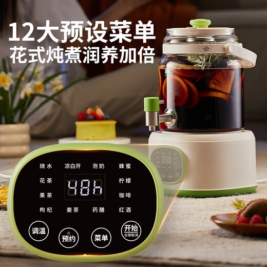 Liven health pot flower tea bucket kettle teapot glass 2.8L with faucet camping flower teapot office thermostatic kettle stew all-in-one household electric kettle SH-D2855