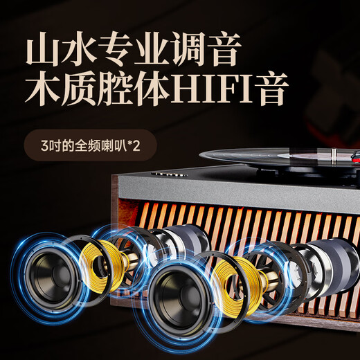 SANSUI vinyl record player, integrated retro gramophone, upright bluetooth film record player, nostalgic living room ornaments, birthday gift V25 Sweet Honey