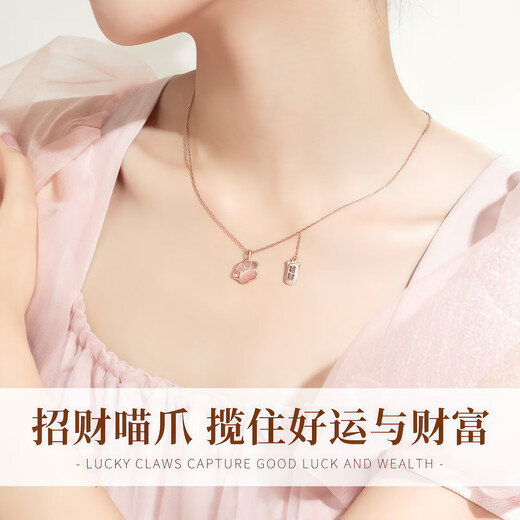 Central Chuang Fashion Chinese Gold and Silver Necklace for Girls Light Luxury Niche High-end Girl Birthday Gift for Lady Girlfriend Best Friend S925