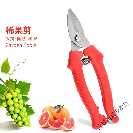 Vinoa thickened stainless steel gardening scissors, specially used for picking navel oranges, apples and tomatoes, stainless steel fruit picking pruning shears, thickened version 1 pair