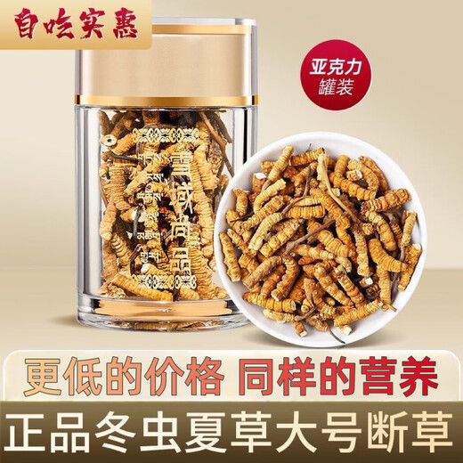 Cordyceps Sinensis крупная сломанная трава тибетская область Высококачественная скидка на самообучение Cordyceps на тот же день выставки 2025 г.