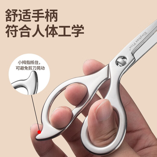 Ciseaux d'alimentation complémentaire Ciseaux d'alimentation complémentaire de qualité alimentaire pour bébé 316 Ciseaux portables en acier inoxydable de qualité alimentaire spéciale pour bébé Ciseaux d'alimentation pour bébé en alliage de titane de qualité infantile Certification 99