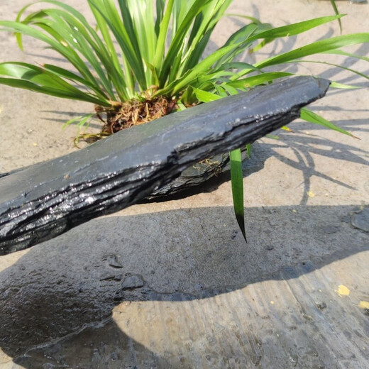 Fish tank stone ornamental stone native tank black gold fine schist turtle basking back schist landscaping platform fish tank climbing pet vacation 3Jin Jin equal to 0.5kg 20-30cm