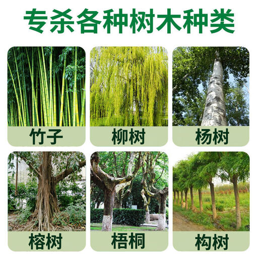 Special medicine for rotten tree roots: cyclozinone, special for removing big trees, powerful root rot king, one drop of tree dead and rotten root agent fertilizer, big tree dead 100ml 1 bottle