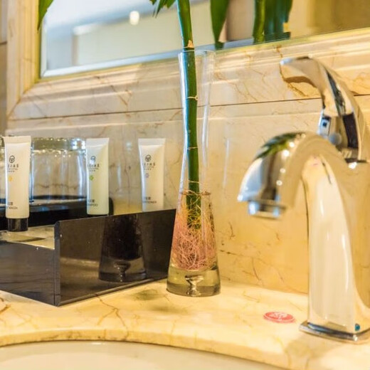 Deluxe twin room-includes two breakfasts 1.2m*2m*2