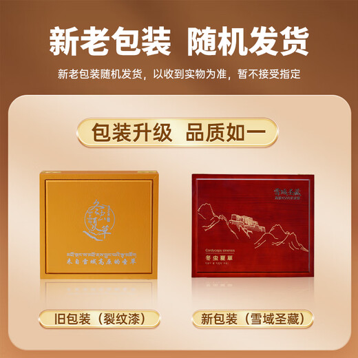 首养堂冬虫夏草3根/g 20克虫草礼盒新干冬虫草补品送父母