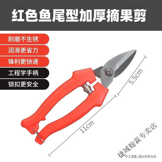 Vinoa thickened stainless steel gardening scissors, specially used for picking navel oranges, apples and tomatoes, stainless steel fruit picking pruning shears, thickened version 1 pair