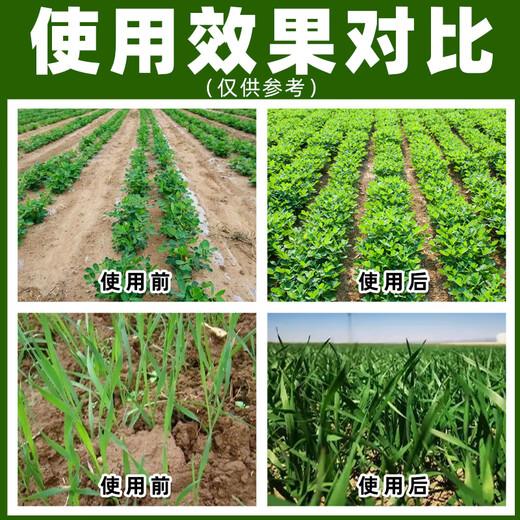 30% Polybutrazole Methionium Growth Regulator Wheat Peanut Growth Regulator Peach Tree Control slightly Paclobutrazol 500g*5 bottles Most people choose