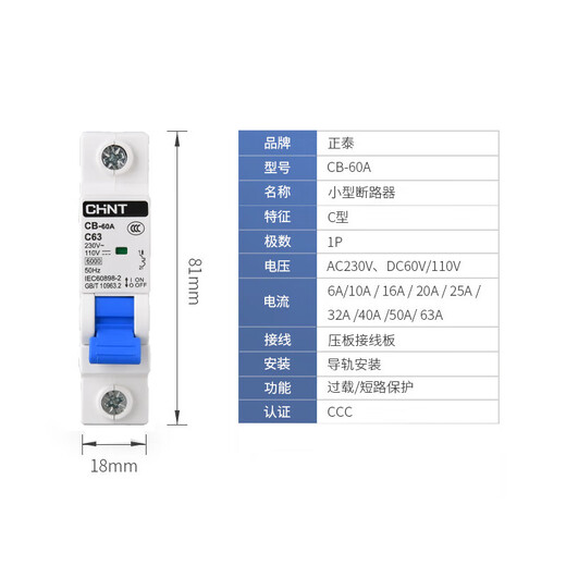 Chint CB-60A AC/DC circuit breaker 1P 2P DC circuit breaker 63A energy storage new energy DC110V 220V 2P 100A