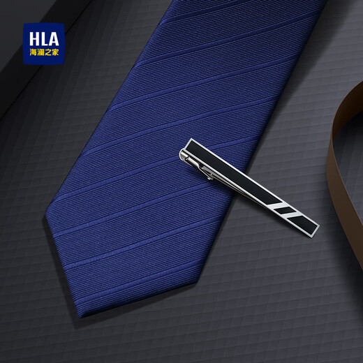 Heilan House Men's Tie Tie Clip Set Birthday Gift for Boyfriend Hand Tie Suit Accessories