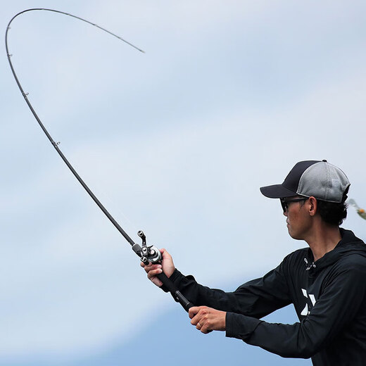 Daiwa 25 neue Blacklabel x Japanische Version Schwarz Mark Luya Rod Universal Long Throw Rod Mikroobjekt Sea Bass Mandarin Fischstange 2.03m Japanische Version 681mh/MFB