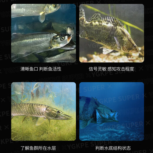 YGK PE ZONE high-end imported 16 braided PE line main line fish line Yadah black thunder strong special giant anti-bite wear-resistant strong pulling force crazy pull giant 200 meters 5.0